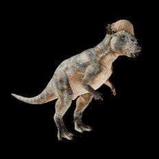 Pachycephalosaurus