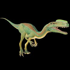 Proceratosaurus