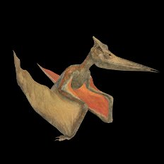 Pteranodon