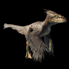 Pyroraptor