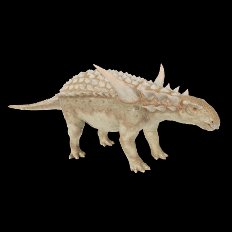 Sauropelta