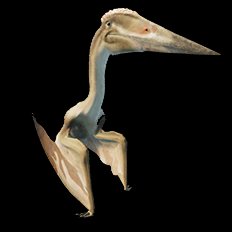 Thanatosdrakon