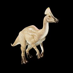 Tsintaosaurus