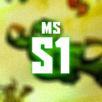 MSS1