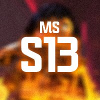 MSS13