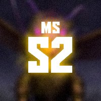 MSS2