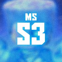 MSS3