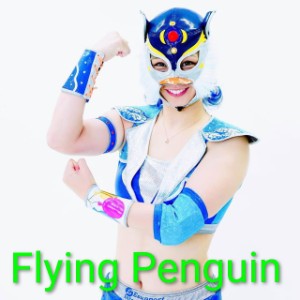 Flying Penguin