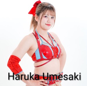 Haruka Umesaki