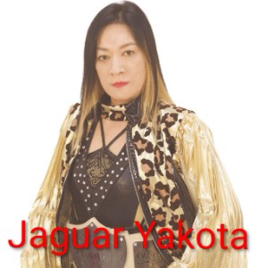 Jaguar Yakota
