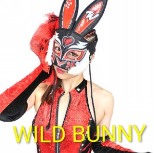Wild Bunny