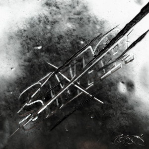 snap (feat. sokodomo)