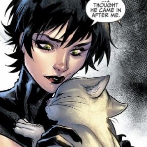 catwoman/seline kyle (dc)
