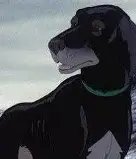Rowf