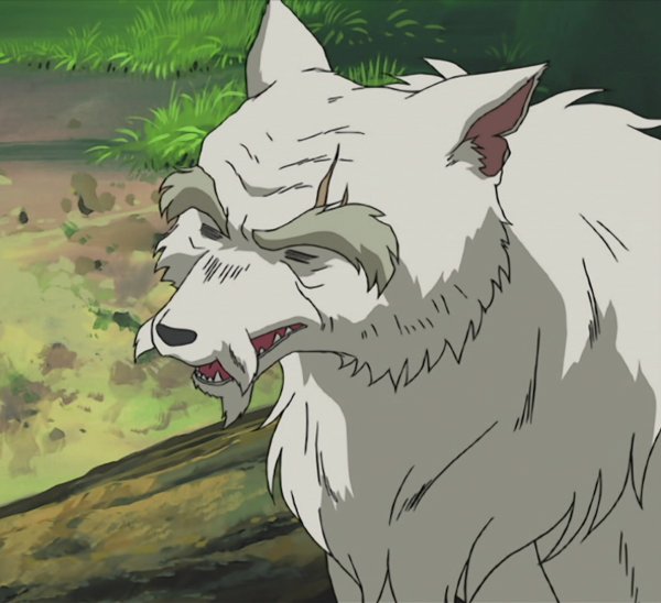 Wolf Elder