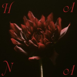 bloom