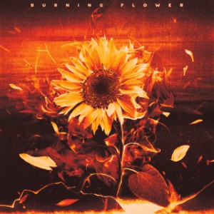 burning flower