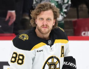 David Pastrňák
