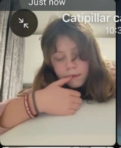 Melisa