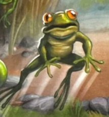 DR Frog