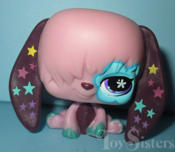 Grooviest Pets
