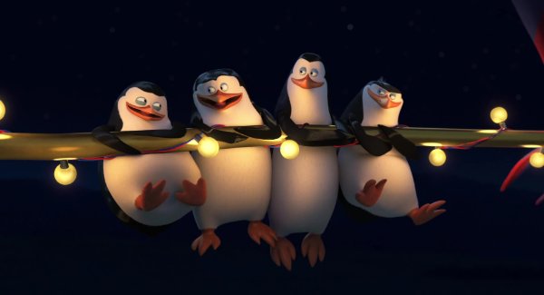 Pinguinos