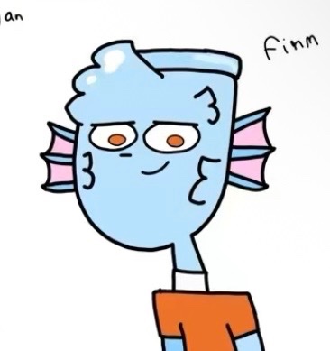 Finn