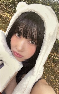 bear momo