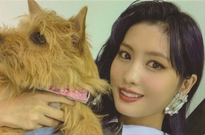 boo + momo