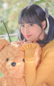 teddy bear momo