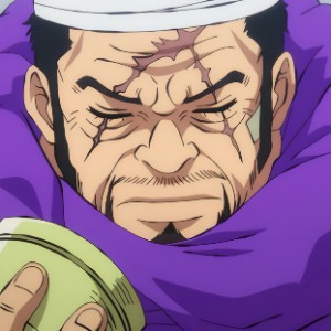 Fujitora - One Piece