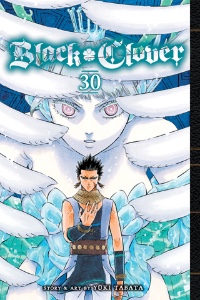 Volume 30
