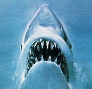 Jaws