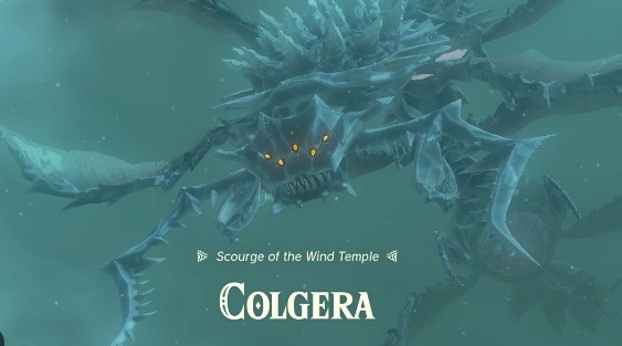 Colgera
