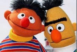 Bert x Ernie