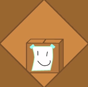 Cardboard Box