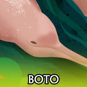 Boto