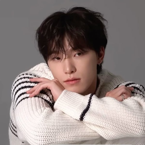 Dino - Seventeen