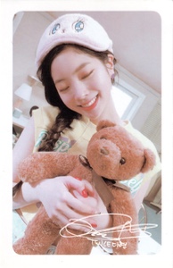 teddy bear
