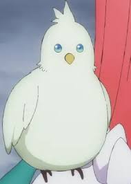 pii