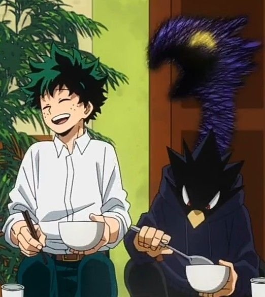 TokoDeku/Izuku Midoriya x Tokoyami Fumikage