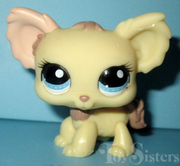 #1171