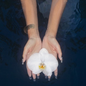 blooming (Shaz’s Lullaby)
