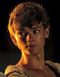 Newt