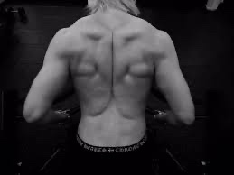 Back Oct. 2025