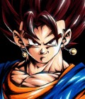 Vegito AAR