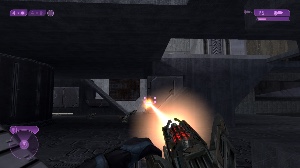 Sentinel Beam