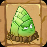 Bamboo Shoot