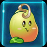 Bean Sprout