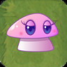 Beauty-shroom (AS)